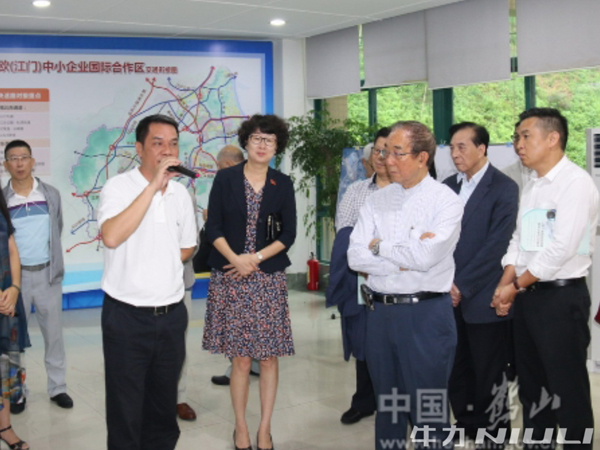牛力 &ldquo;推動園區擴能增效，提升產業聚集能力&rdquo;開展專題協商